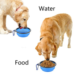 Collapsible Pet Silicone Bowl