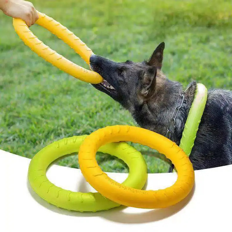 Dog Training Ring Toys