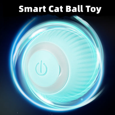 Cat Ball Toys